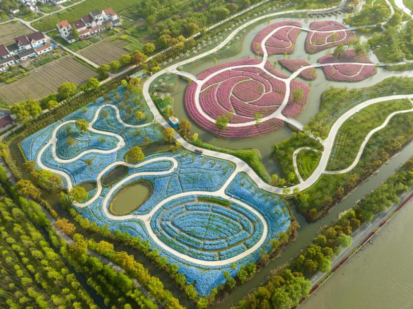 上海新评定五家a级景区,上海五星级旅游景点排名