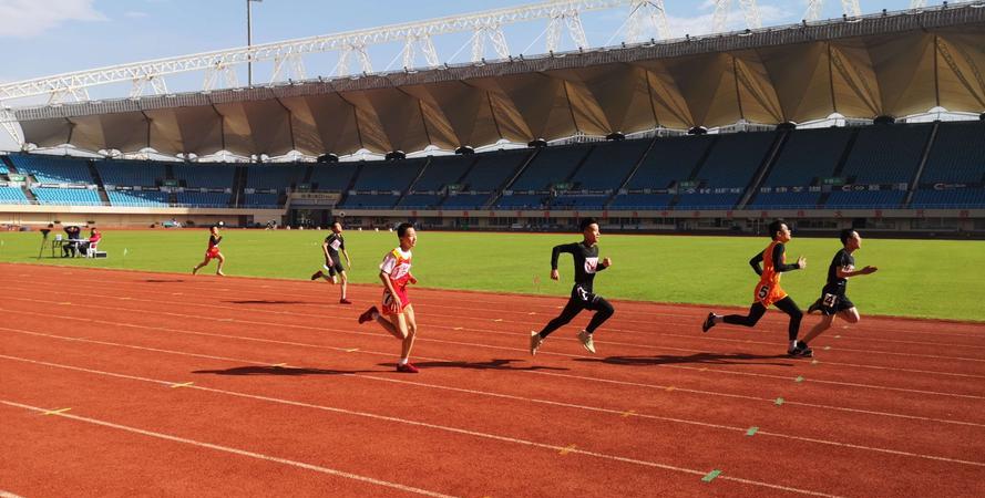 bella风半身裙,bellavintage复古美衣