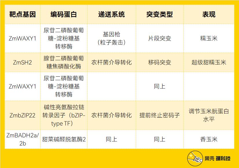 喂饱100亿人的技术，中国准备好了吗？