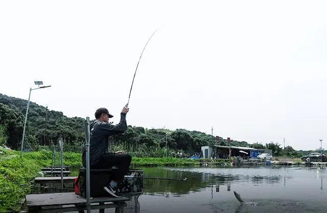 达亿瓦新手入门钓竿,达亿瓦钓箱和仓吉钓箱对比