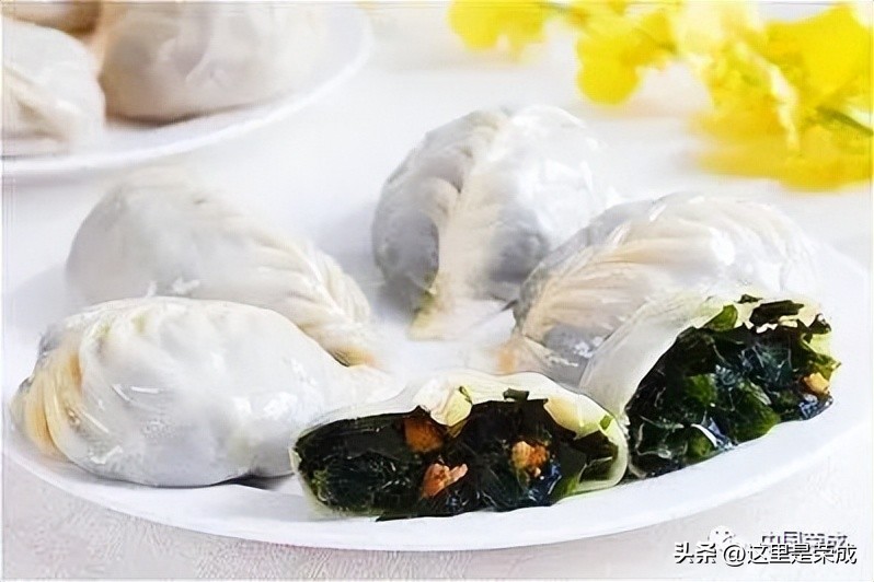 异域风情的漂亮植物,好看又清雅的植物