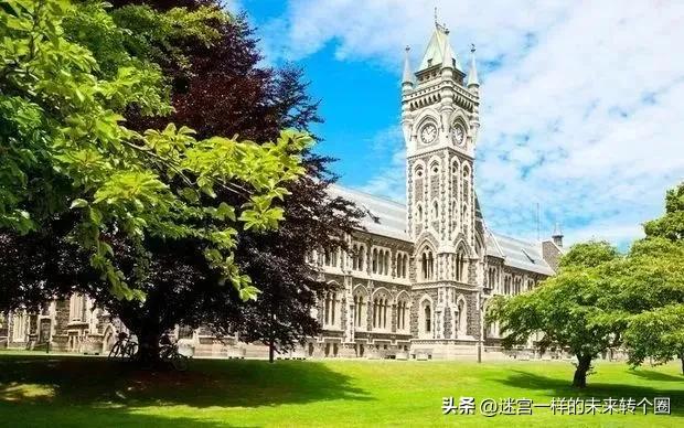 新西兰8所大学，居然都是宝藏大学