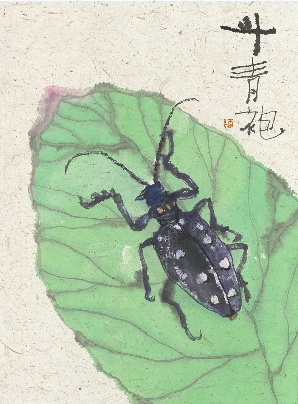 李知弥蔬果图,李知弥作品苦瓜