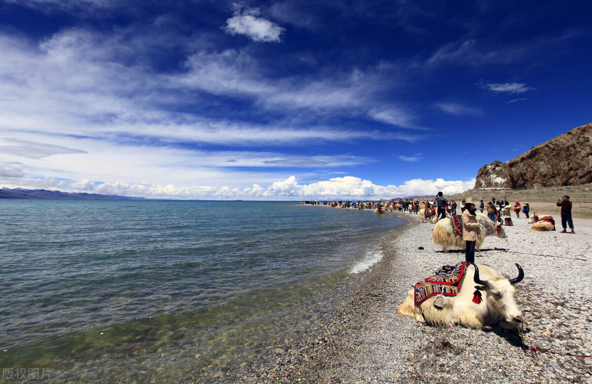 母女俩跟团去大西北旅游安全吗 (去西北旅游跟团危险吗)