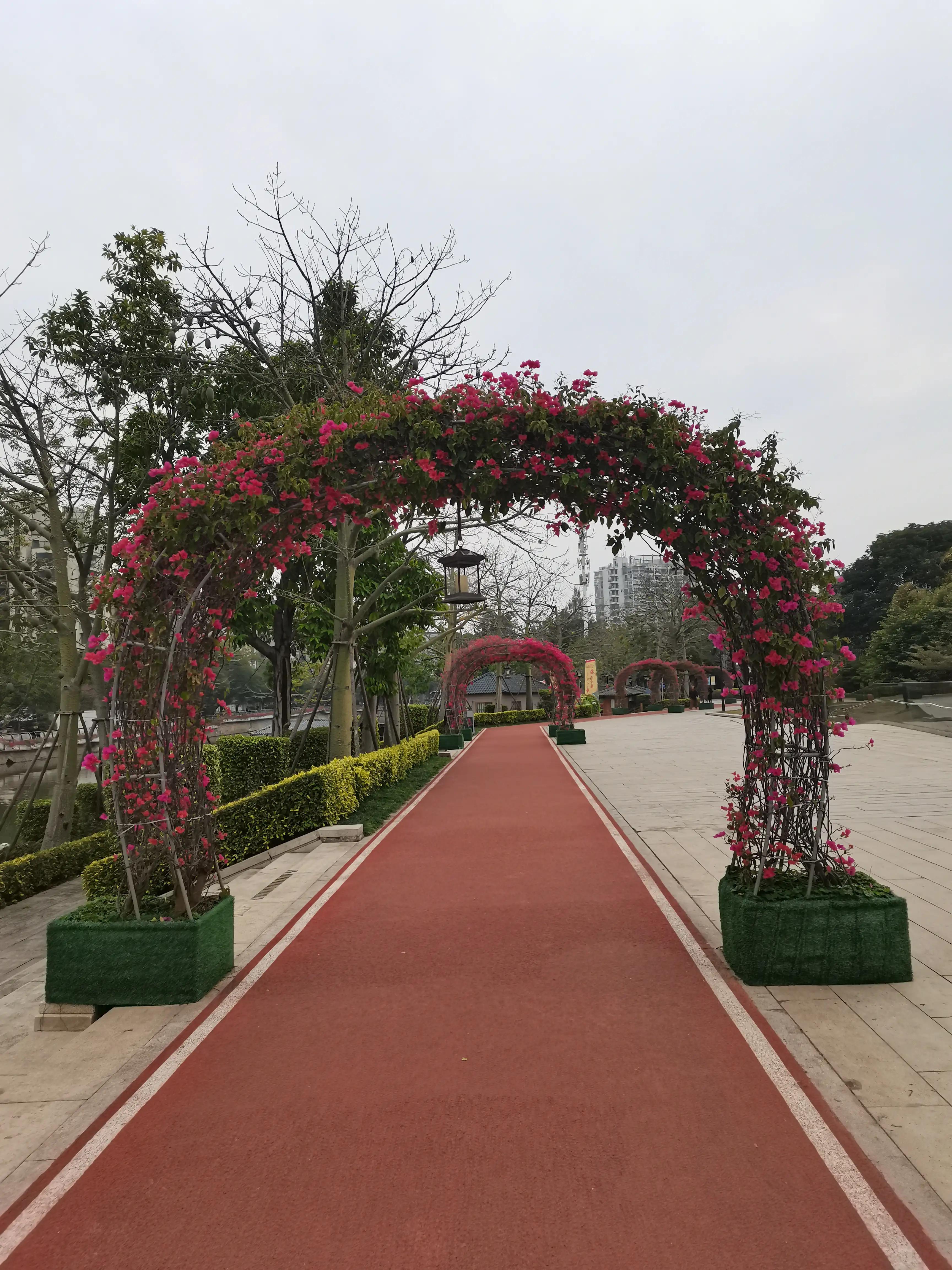 福州郁金香温泉公园,福州花海公园郁金香