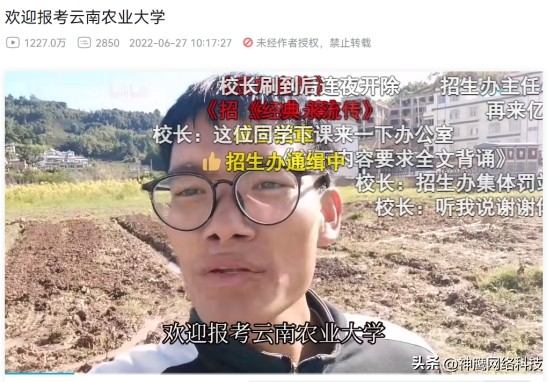 高校招生奇招尽出,品牌营销从中能“偷师”什么?