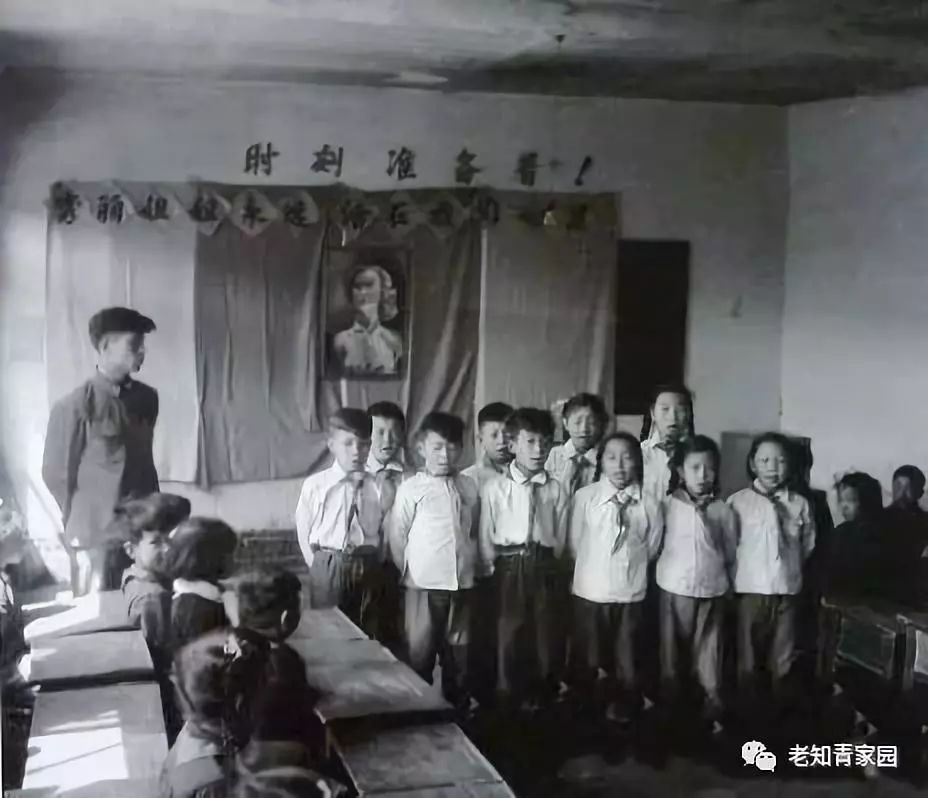 50年代的少年,50年代的人成长经历