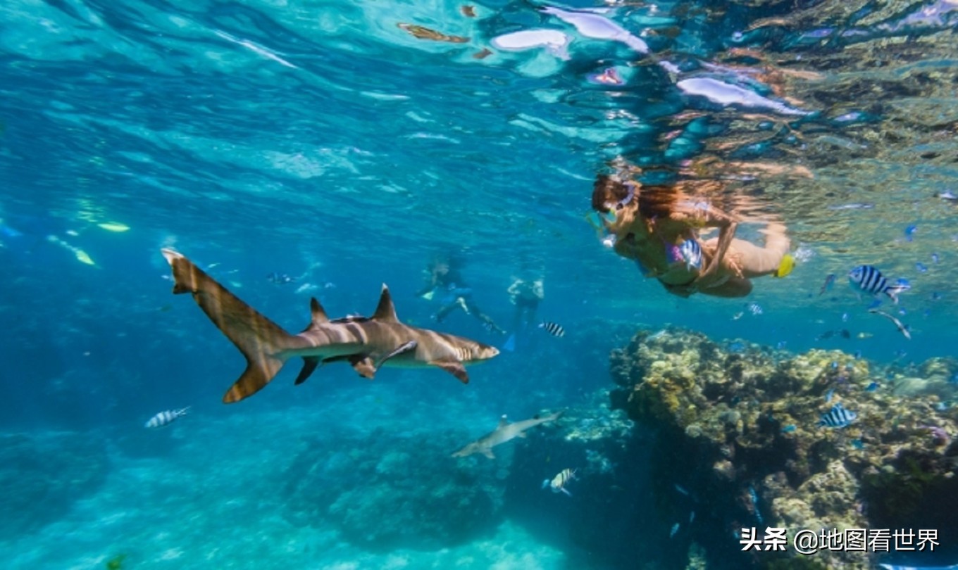 斐济到底是什么国家,斐济国家的情况介绍