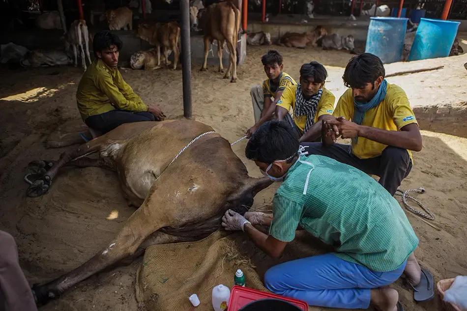 冈比亚为什么被叫做宇宙强国,冈比亚为什么被称为第一强国