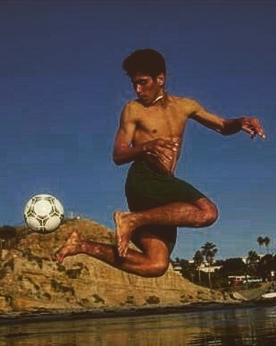 飞越沧海的蝴蝶原文,飞越沧海的花蝴蝶坎波斯