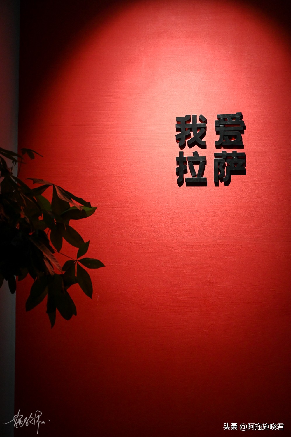 回到拉萨旅行,去拉萨的旅行攻略