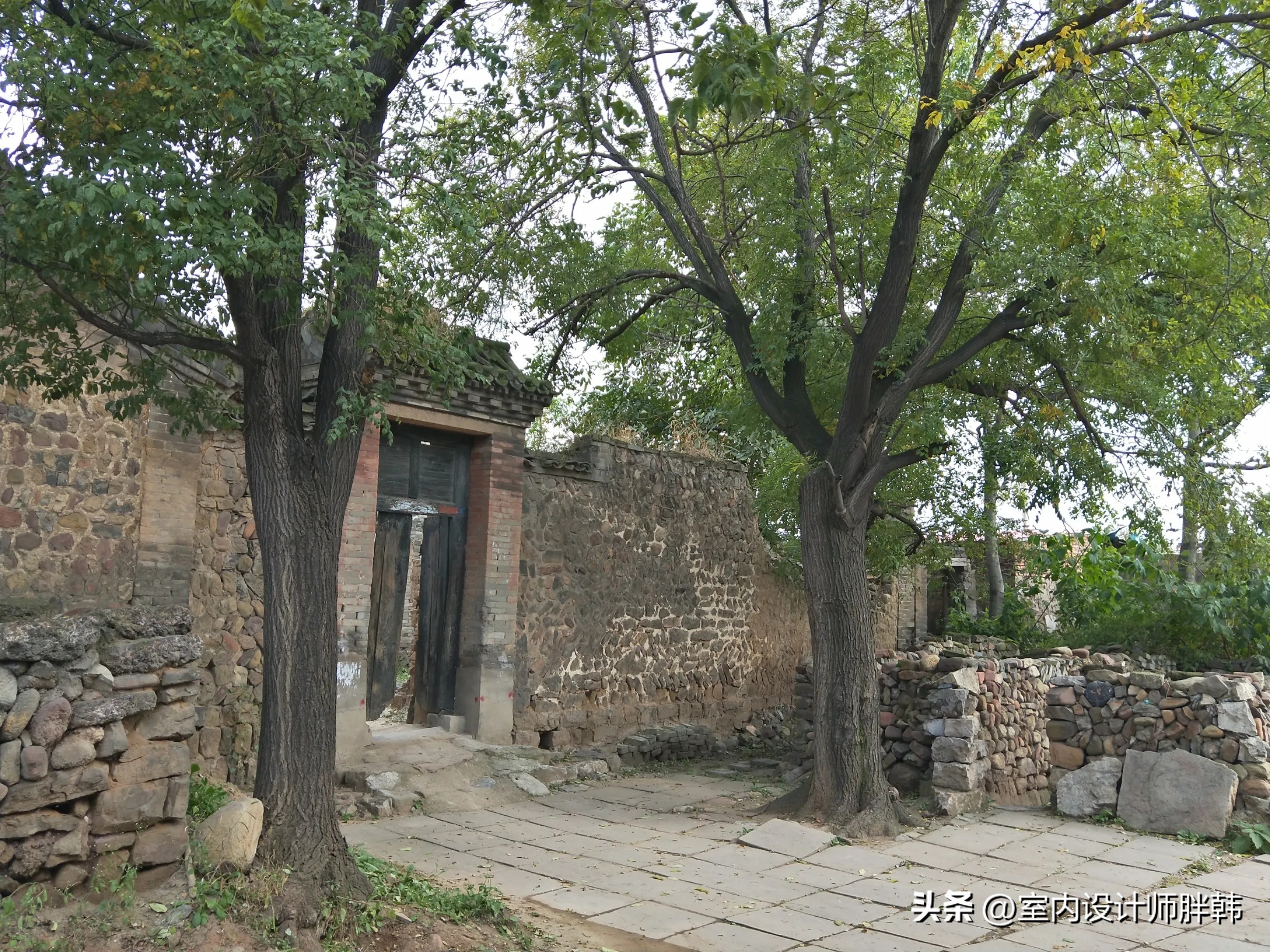 门前五树代表什么,五树进宅指的是哪五树