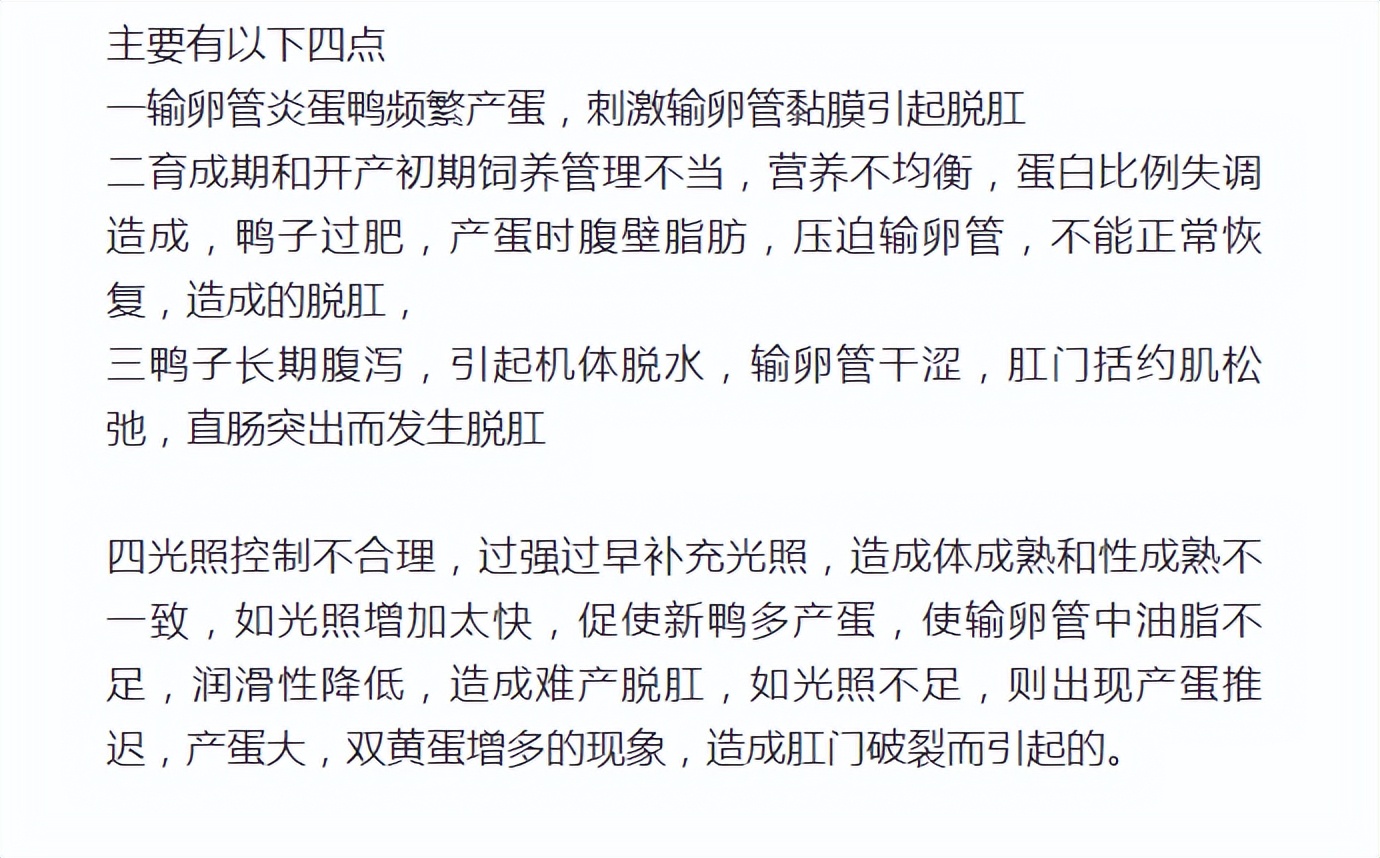 鸭子脱肛是什么原因蛋鸭脱肛是什么原因种鸭脱肛的原因和解决方案