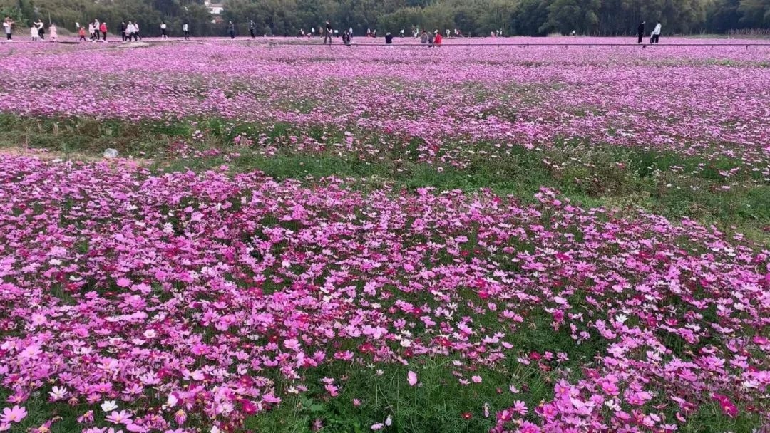 肇庆天气预报7天,肇庆未来7天天气