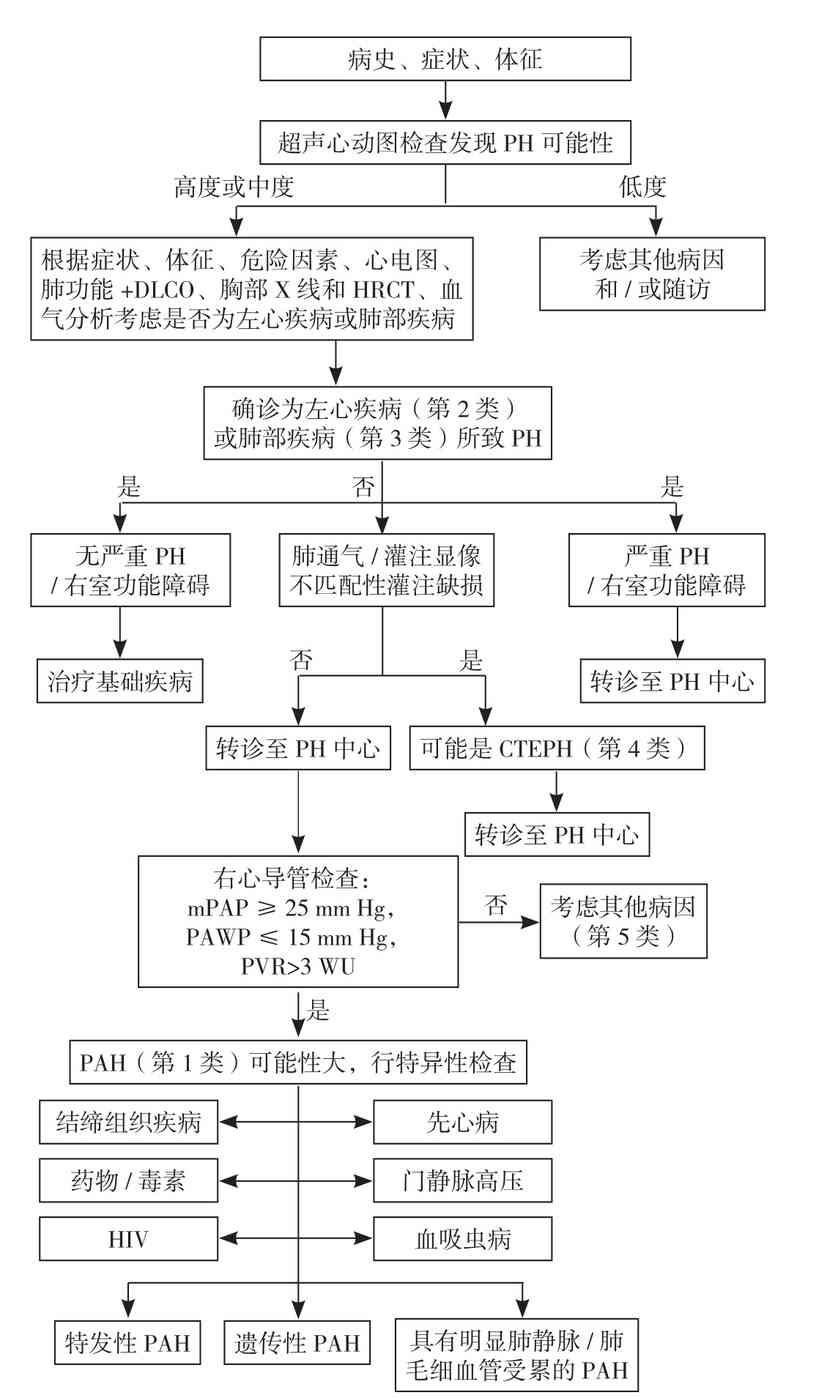 肺动脉高压临床诊治和管理中需要关注的热点问题