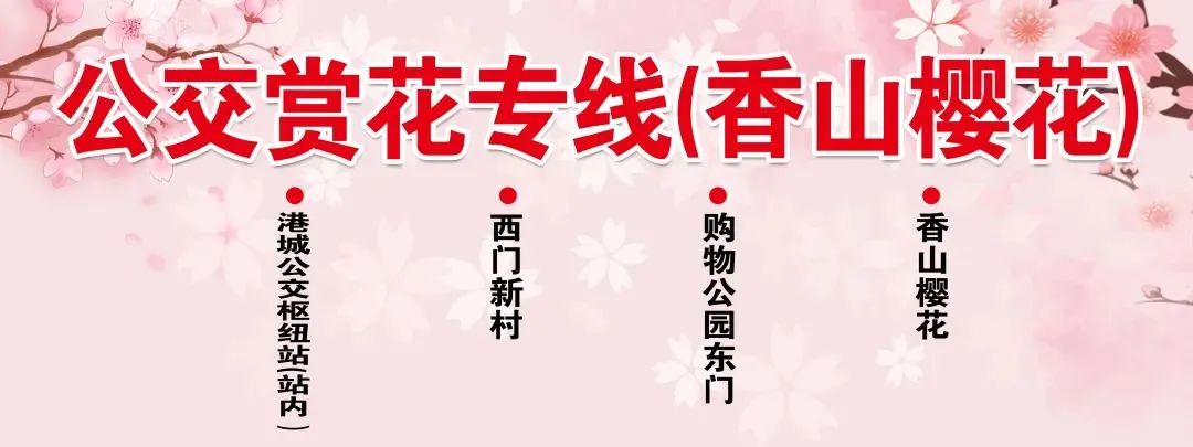 快上车app官网,快上车在哪设置