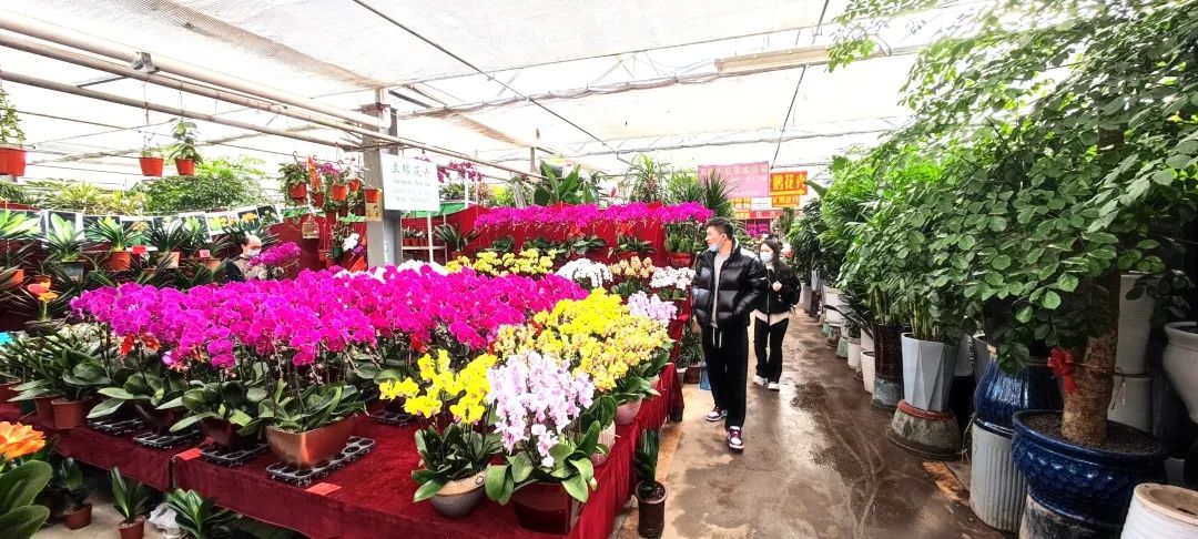 西安兵马俑一日游怎么乘车,西安兵马俑旅游线路和攻略