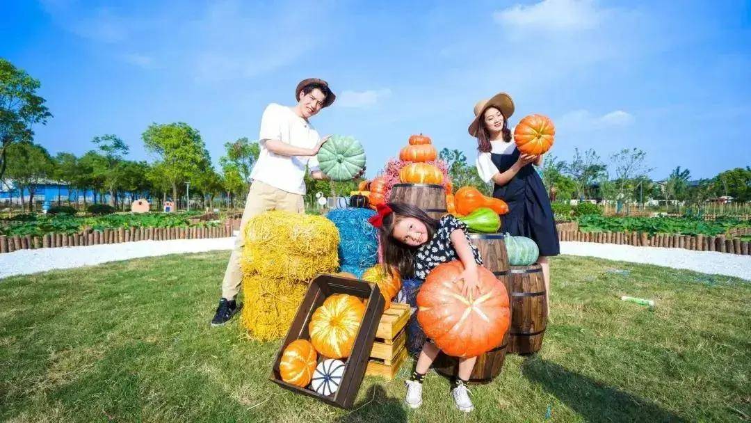 江苏常州旅游世外桃源,来常州天宁区玩的攻略