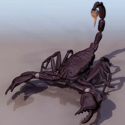 崔老道传奇完整版,崔老道传奇有几部