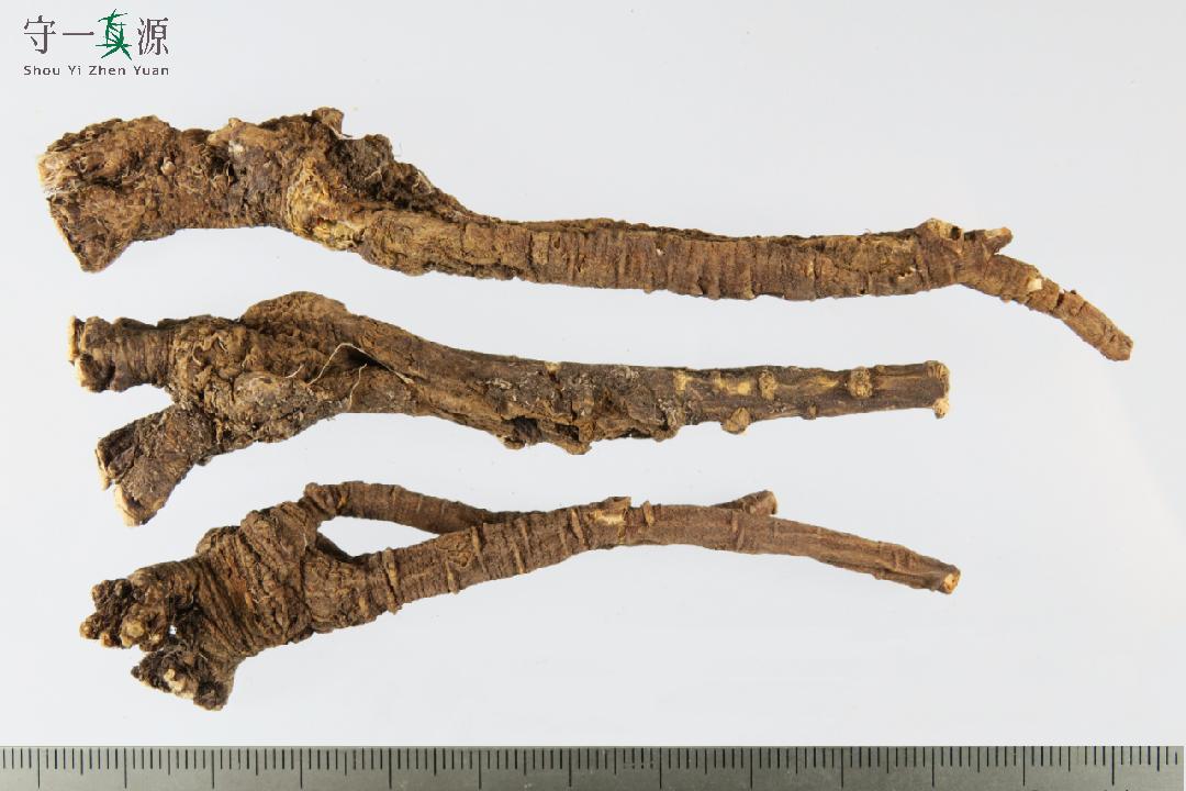 中药真伪鉴定案例,中药鉴定真假找谁