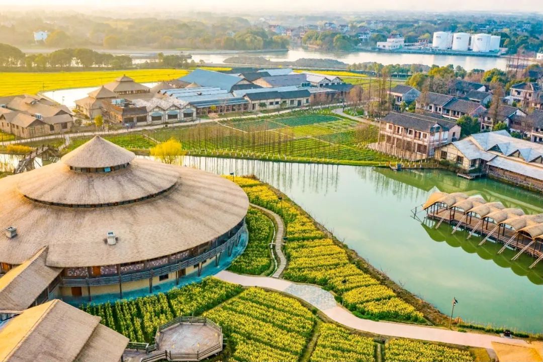 乌镇游玩攻略必去的地方,乌镇里免费的宝藏景点