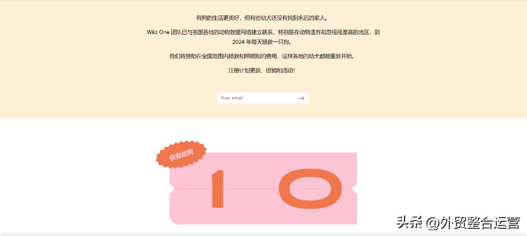 牵狗绳大型犬一元,牵狗绳200元以上