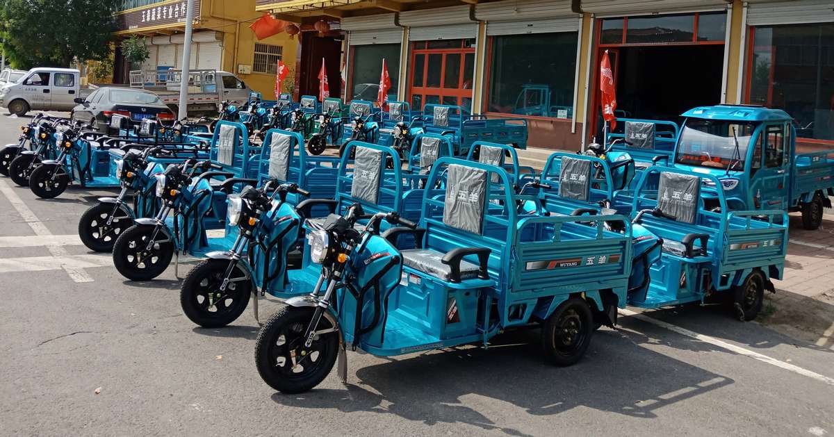 宗申淮海电动三轮车2吨载重,五羊淮海宗申哪个质量好