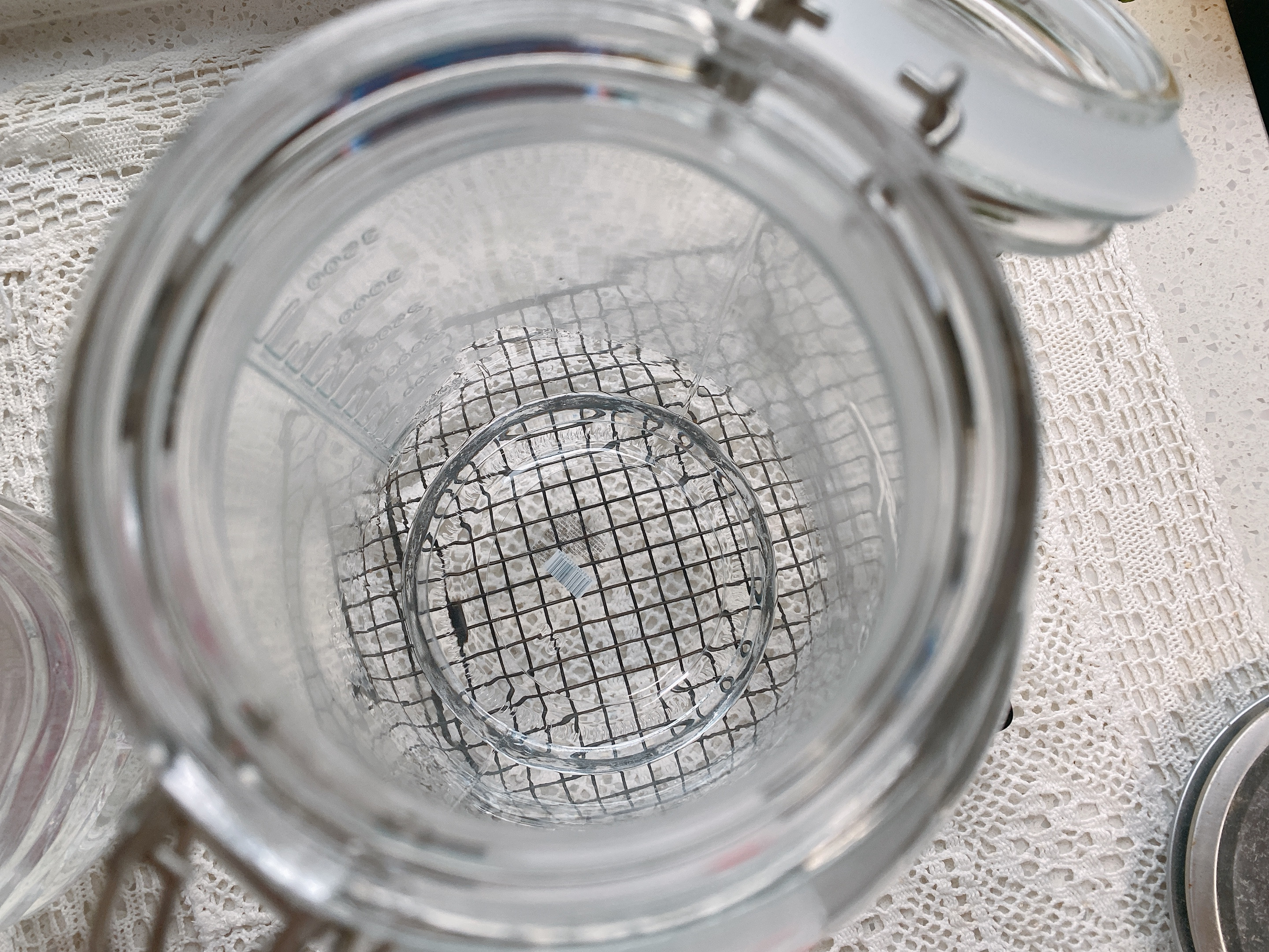 用来泡美味的杨梅酒,下雨天如何泡杨梅酒好呢