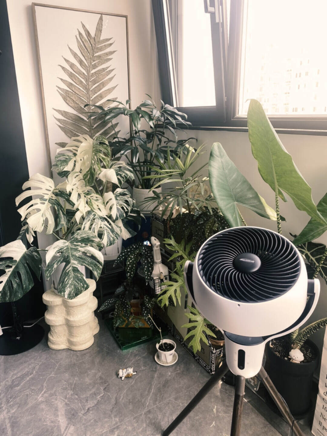 很火的空气循环扇,空气循环扇为什么这么热卖