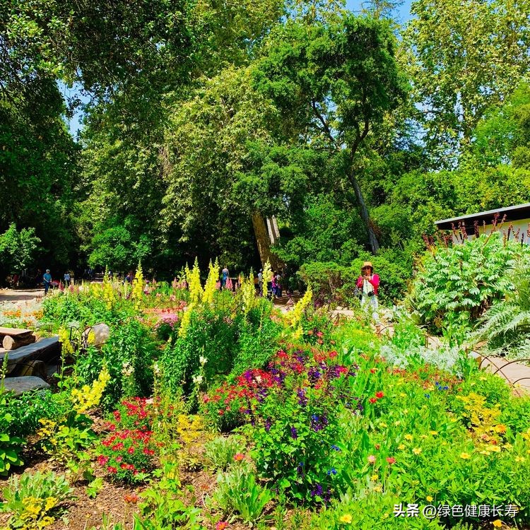 世界花园风景,世界花园