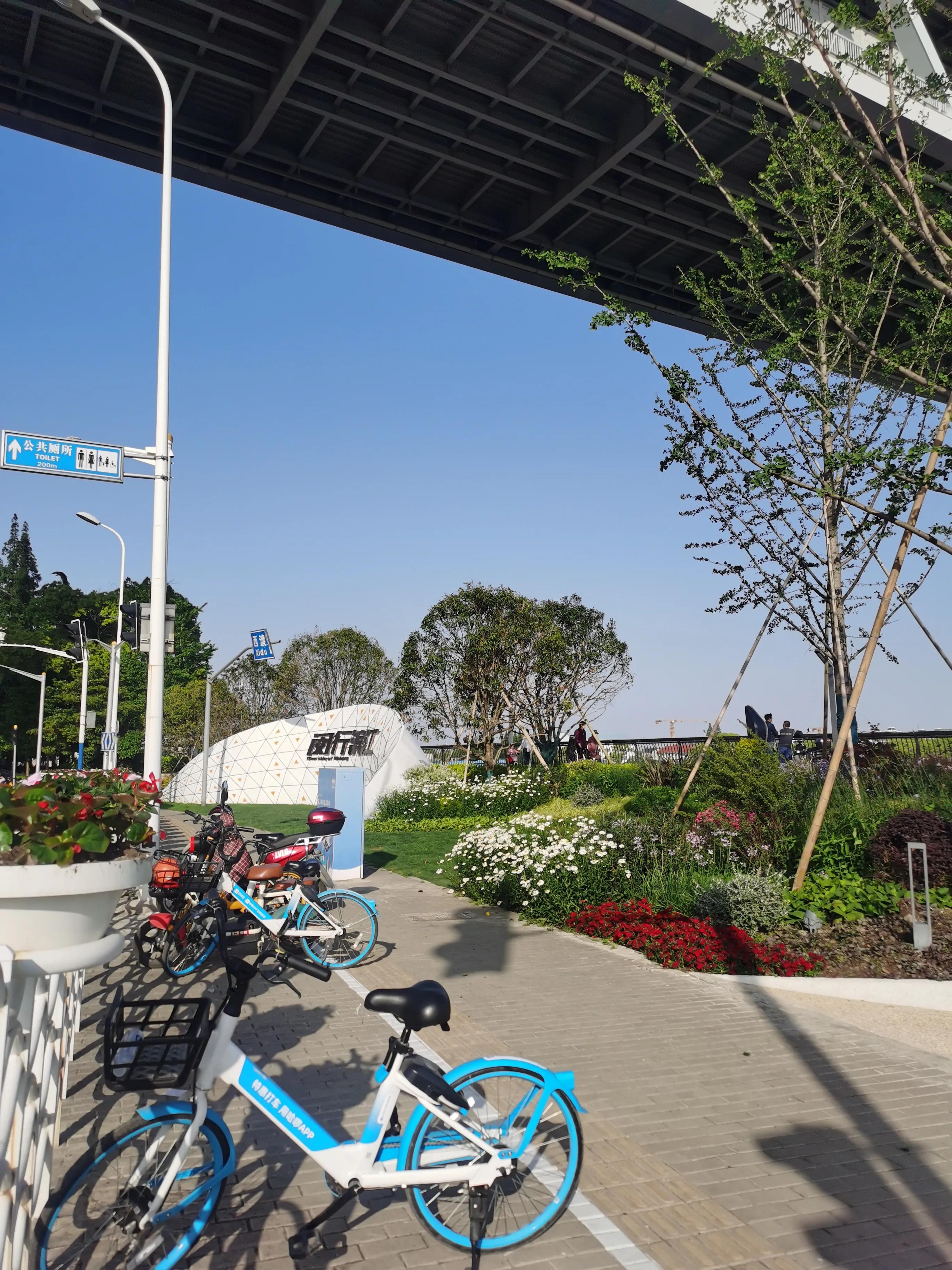 闵行滨江公园视频,闵行滨江公园景点