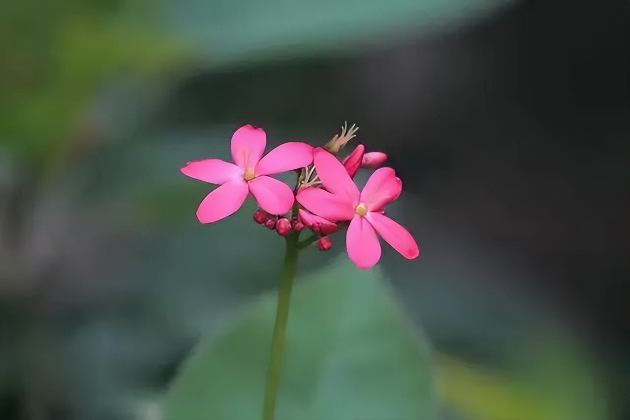 当你过得差连亲戚都瞧不起,当你过得不好连亲戚都瞧不起你