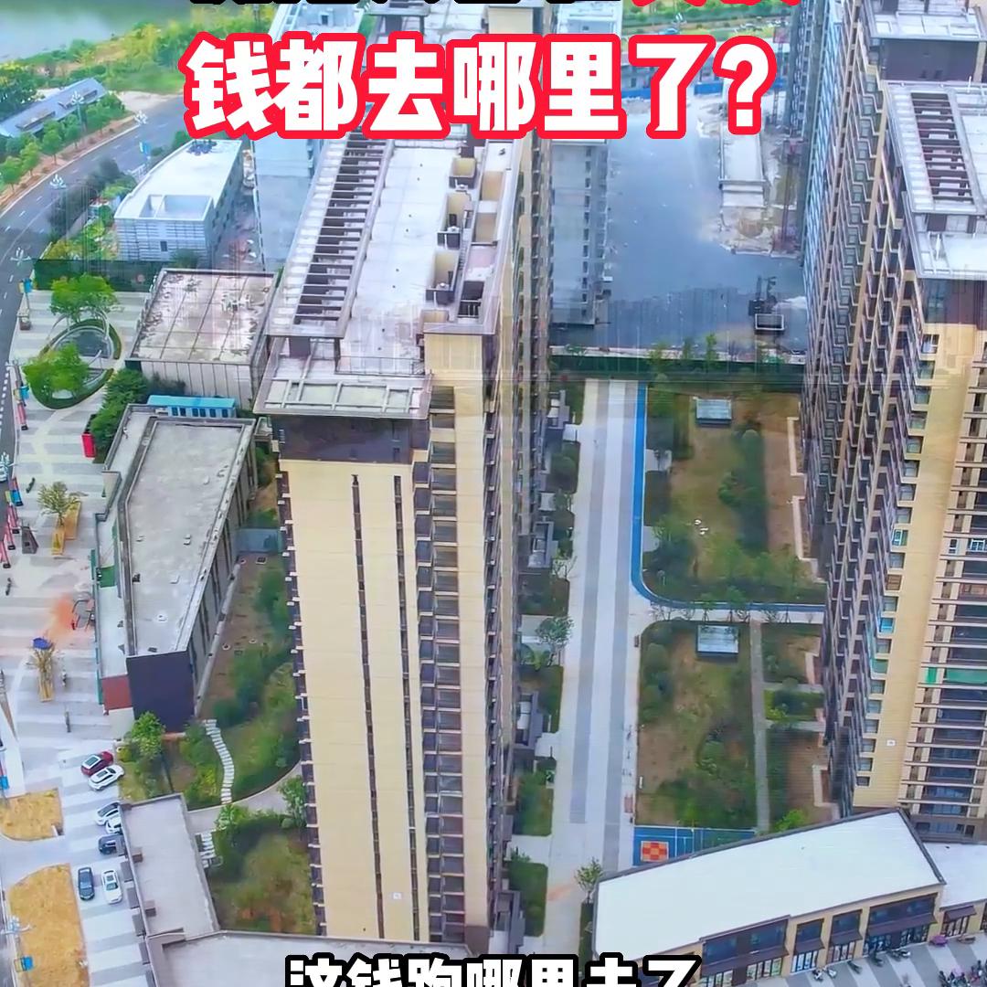 开发商负债老百姓负债钱去哪了,负债那么多钱到哪里去了