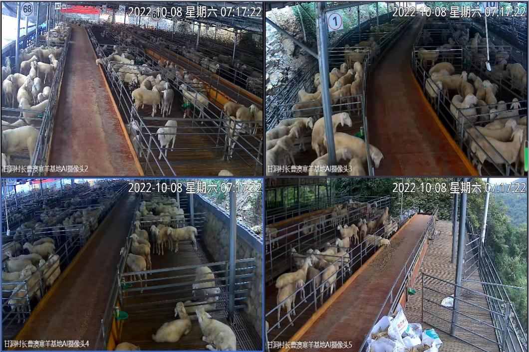 中国电信天翼云翼云平台,天峨县中国电信