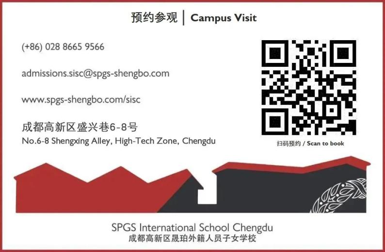 向985院校奋斗,常春藤大学和牛津剑桥