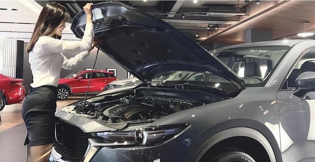 卖车女销售真实事件,女销售卖车聊天记录曝光