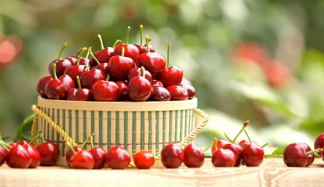 大连冷知识图片,大连冷知识视频