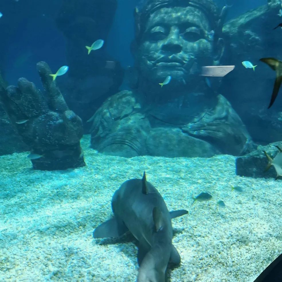 曼谷八大购物中心，个个都是顶配！没逛过这些商场别说你去过曼谷