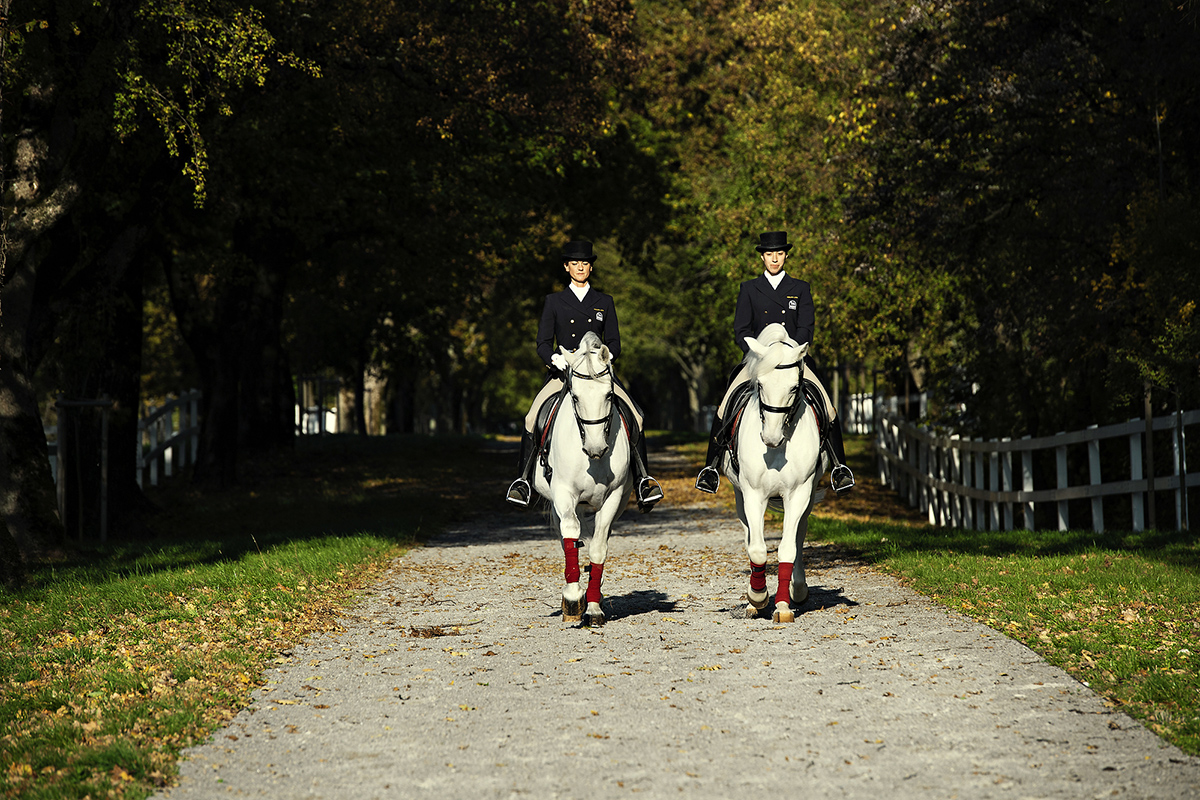 佛罗伦萨旅游自由行推荐,欧洲旅游旅行线路攻略大全