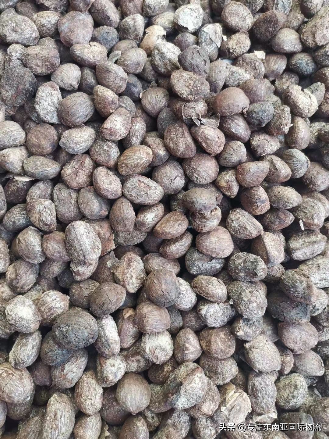 进口越南铅锭报关流程及费用,从越南进口木材需要办哪些手续