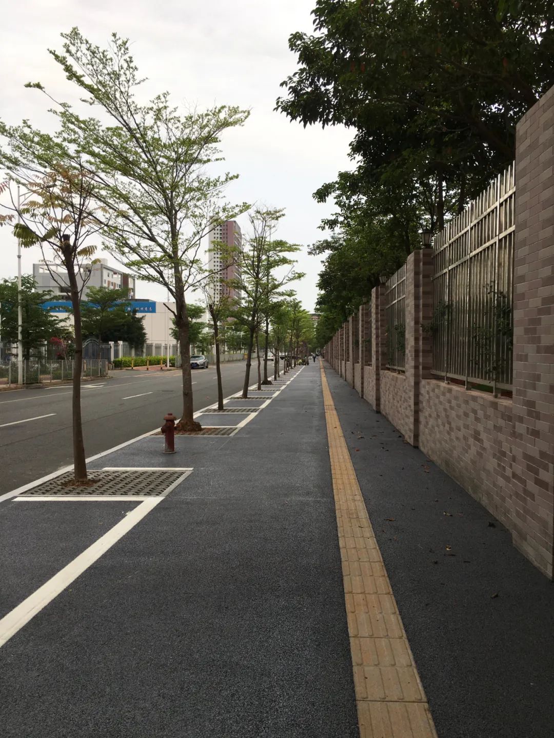 旭光车行雅迪电动车,旭光单车