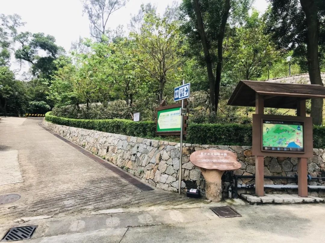 孝顺妈妈该怎么做,哄妈妈的十个方式