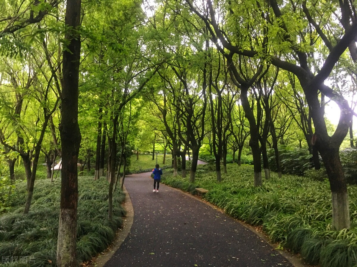 上海踏青2022,上海踏青最佳景点2021