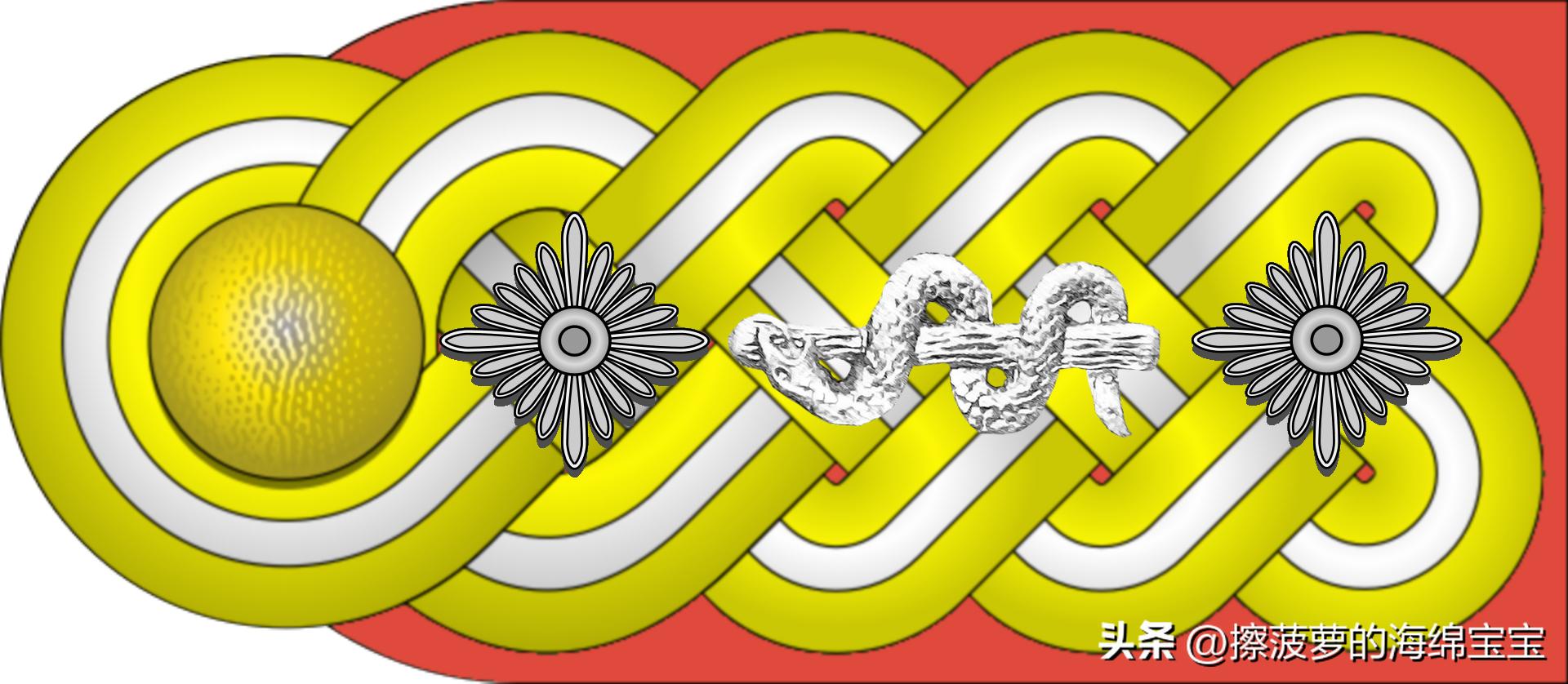 二战德国国防军医疗兵军衔标志