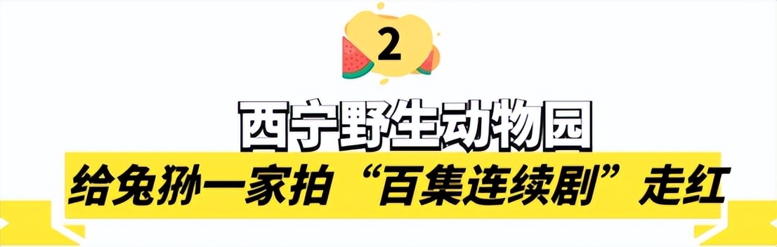 中国最大无人动物园,中国十大动物园红山动物园