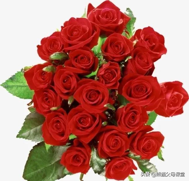 聆听花语盆景直播,聆听花语的声音