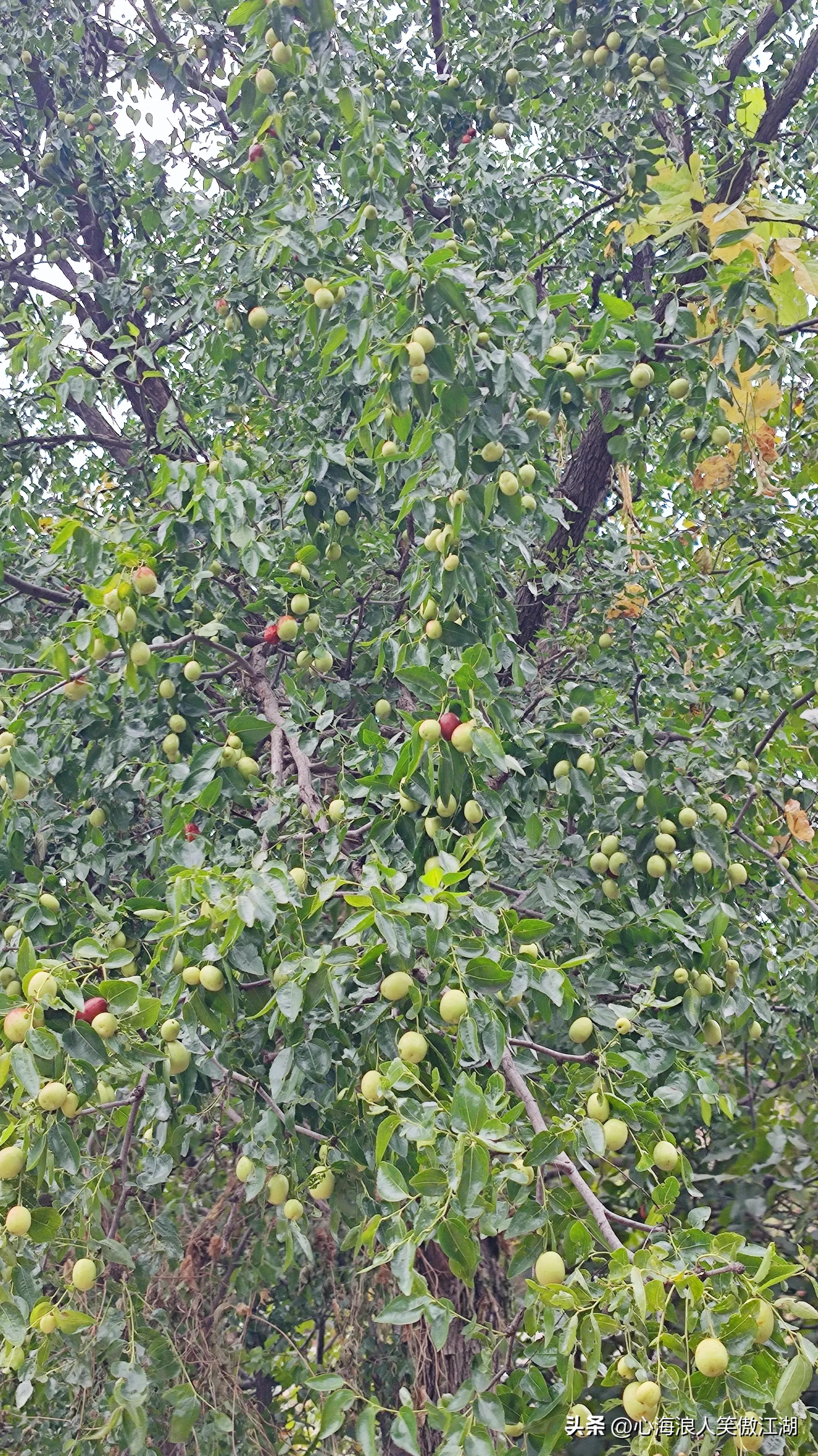 国庆北京自驾风景游,国庆节北京骑行夜景