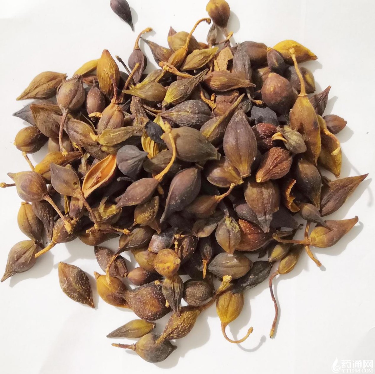 病毒性心肌炎中医草药治疗可以吗,病毒性心肌炎的中药方剂