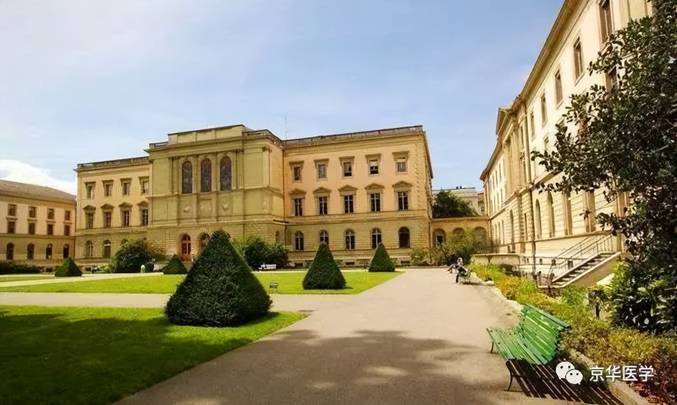 当选数学课代表,当选题