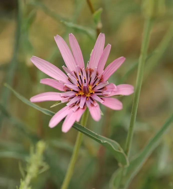 给你全部的温情与热爱,想给你全部的温情和热爱